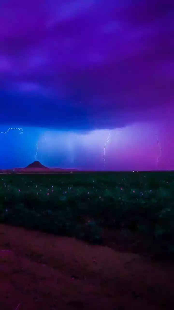 Monsoon Gaps Can Affect Crop Growth Even When Rainfall Is Adequate