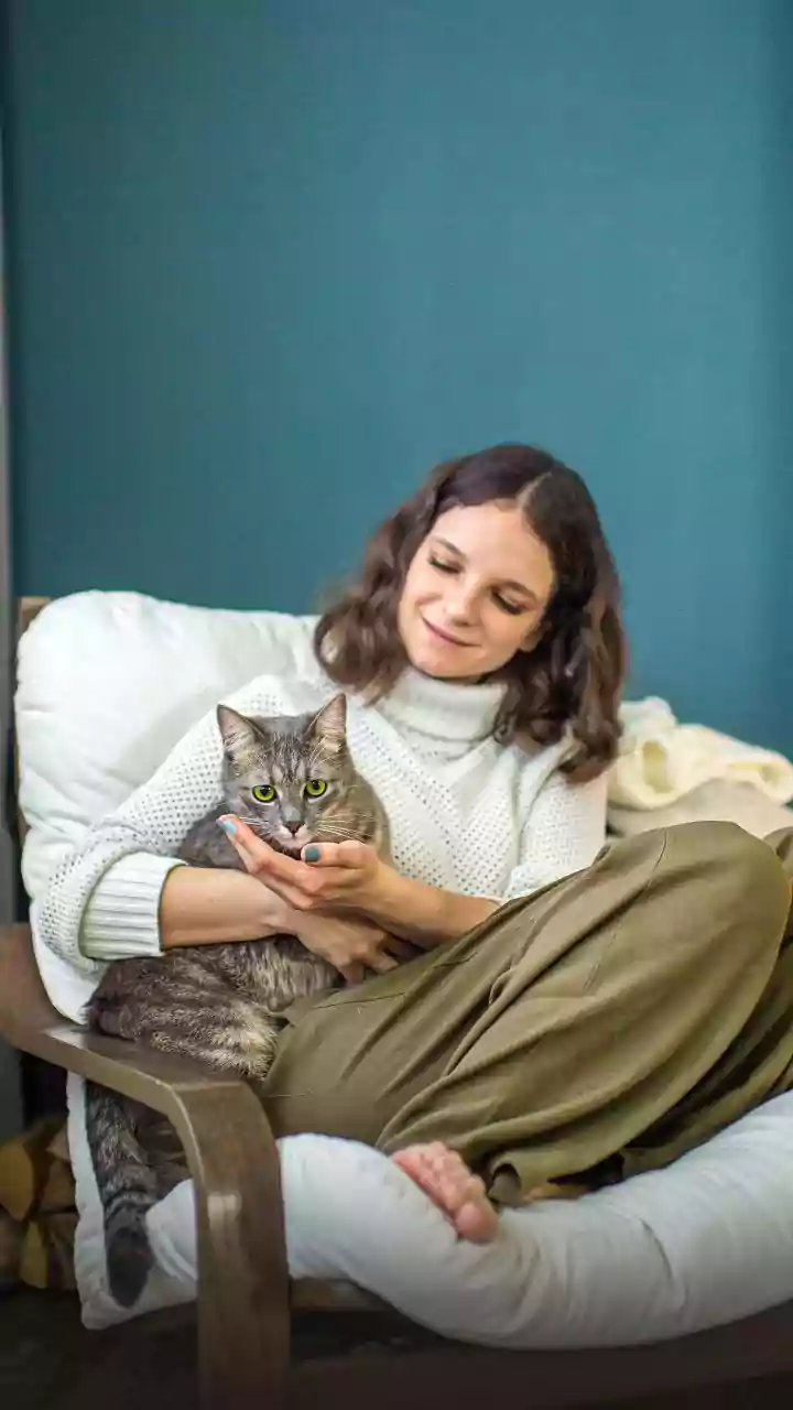 Pet Care Spending Is Becoming More Lifestyle-Led
