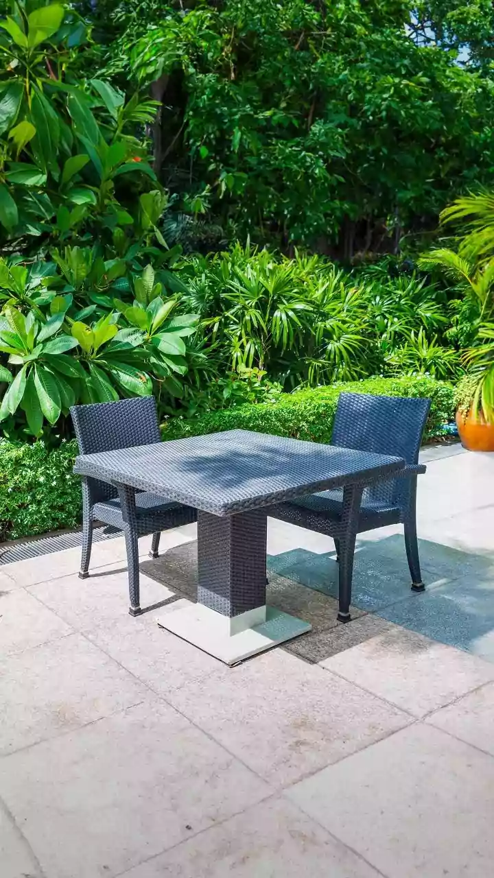 Inside Tropical Home Garden Plants: A Garden Plan Inspired By Holiday Resorts