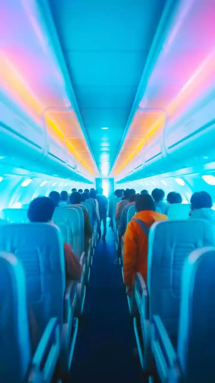 Traveler's Themed Flight Adventures: A Viral Sensation