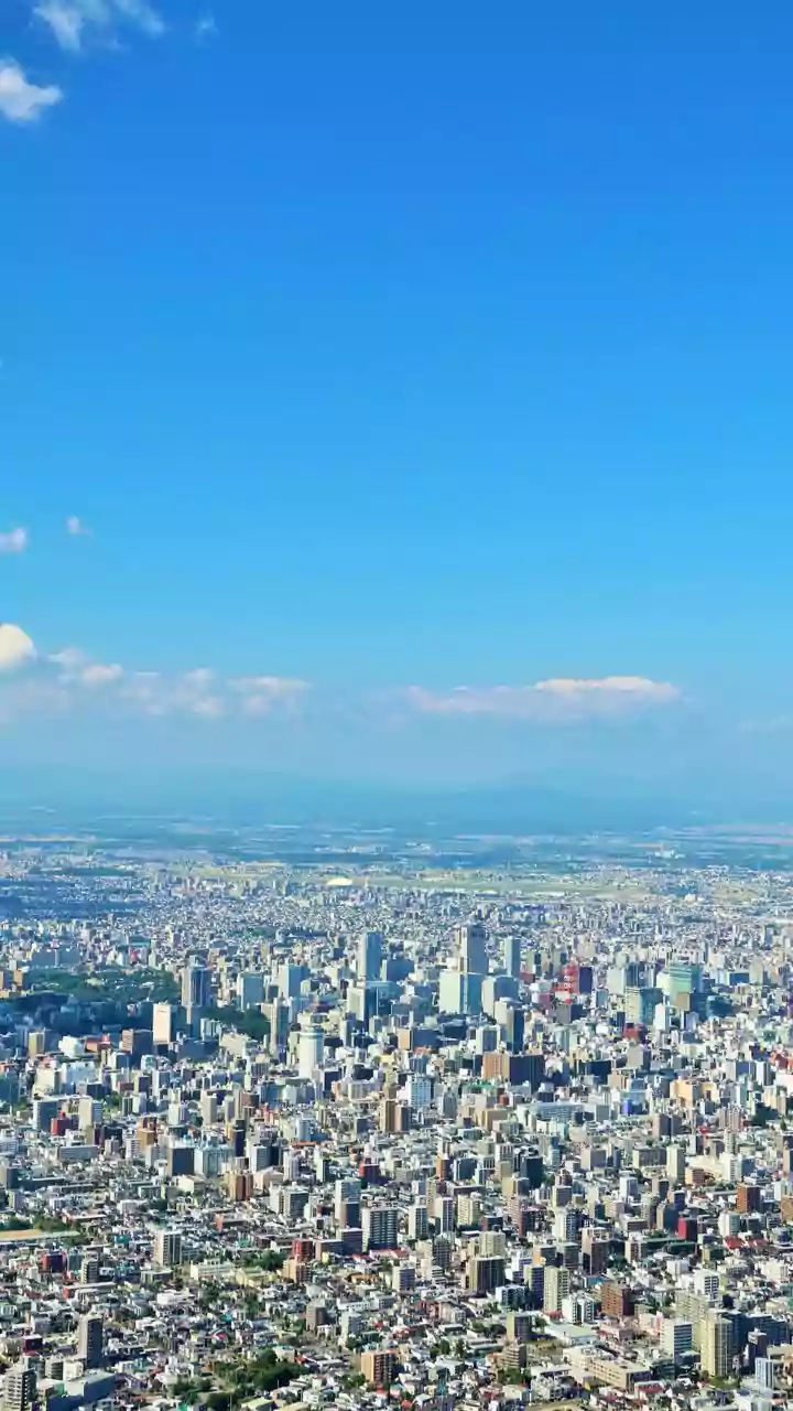Seasonal Change Impact: Why Seasonal Fruit Ripening Attracts Frugivorous Birds To Cities