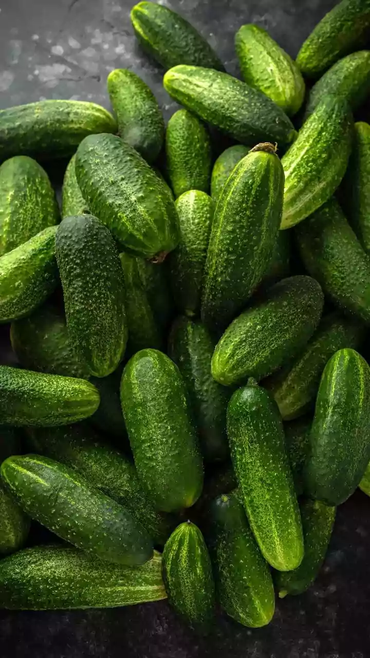 Bihar Cucumber Scare: Vendors Use Green Dye at Katihar Station, RPF Detains Nine