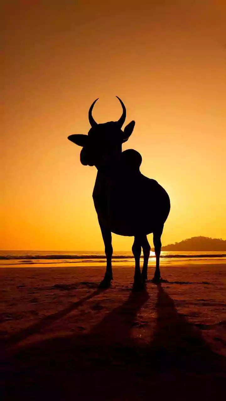 Taurus Daily Forecast: March 16, 2026 - Embrace Spirituality & Harmony