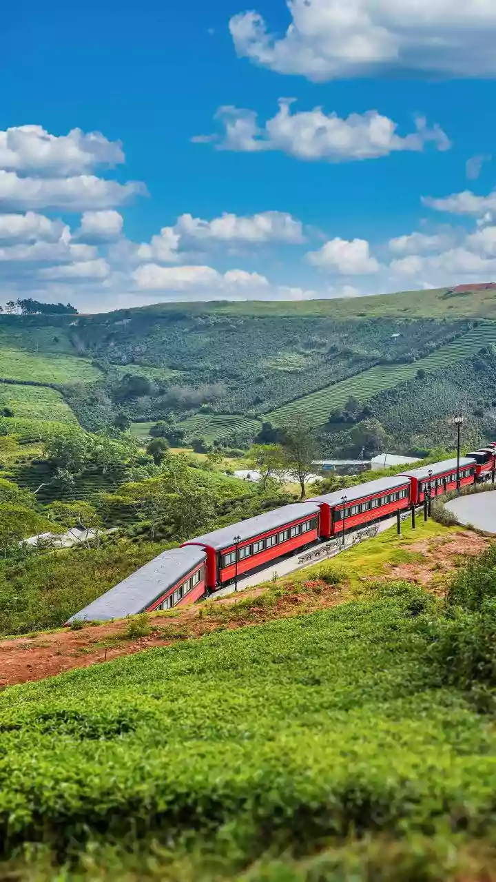 Darjeeling's Toy Train Pairs Tea Estates With the Batasia Loop