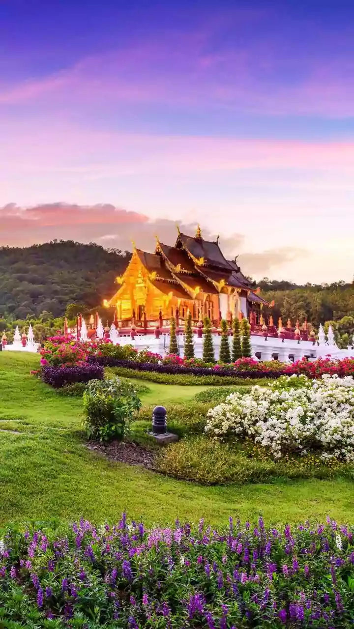 How Indian Tourists Can Avoid Airport Delays With Updated Thailand Digital Forms