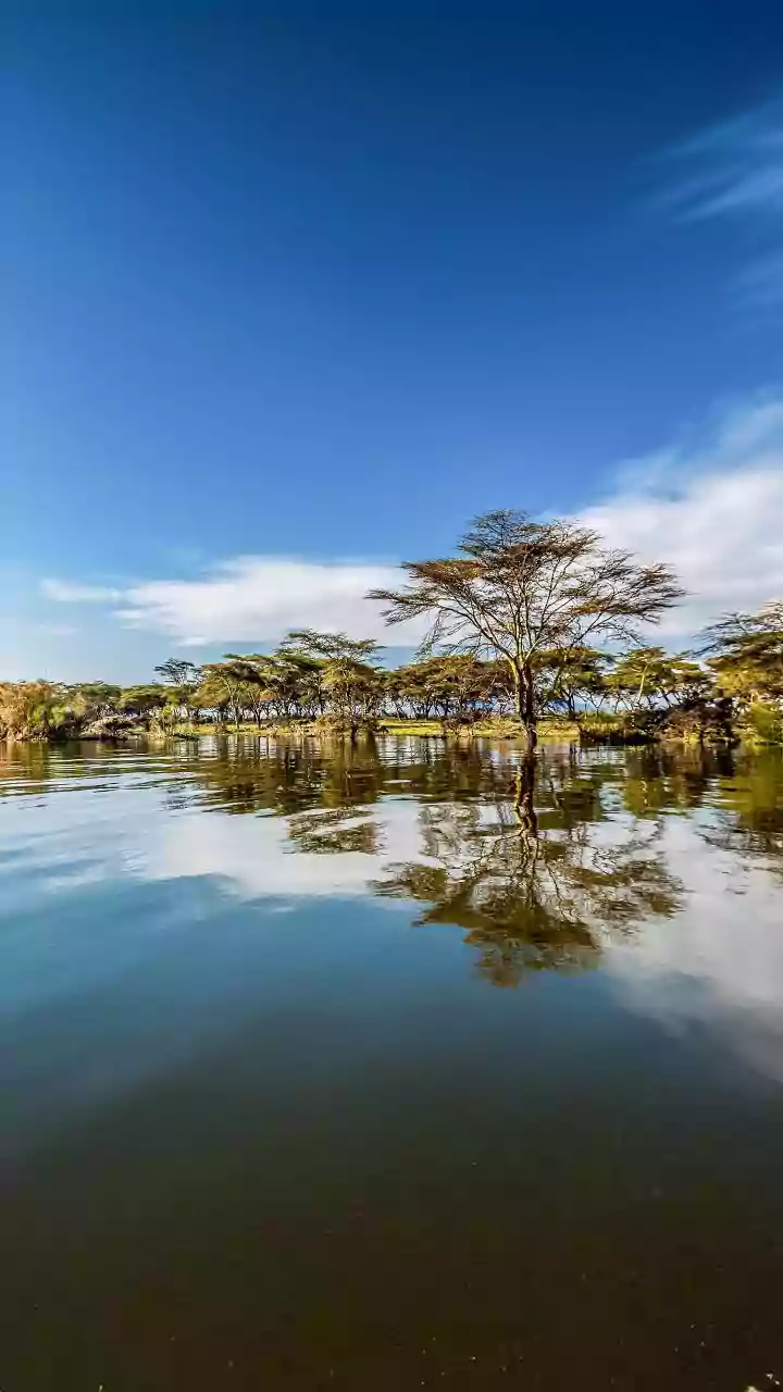 Why Travellers Are Finding Calm Inside a South African Adventure
