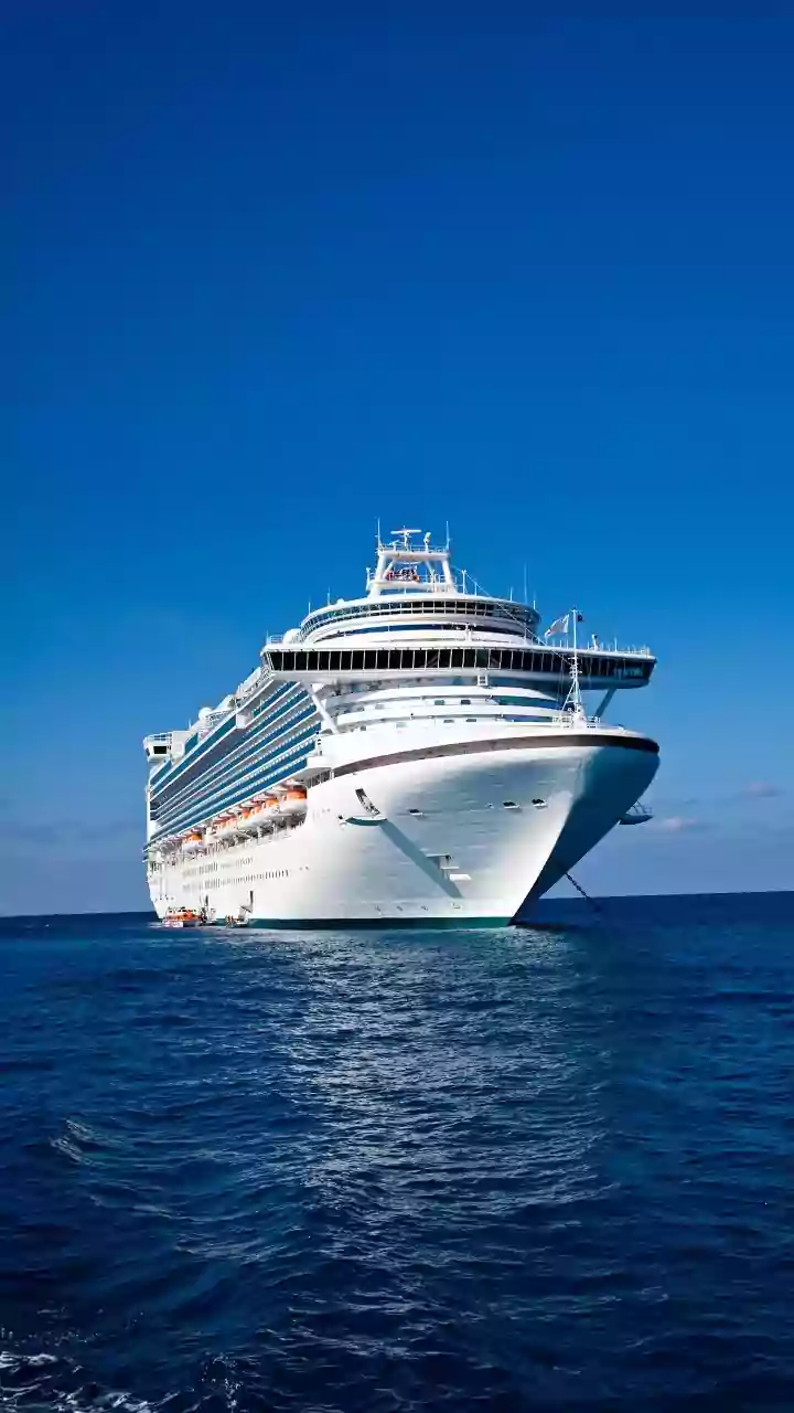 Search for missing 77-year-old woman who went overboard cruise ship called off. What happened?