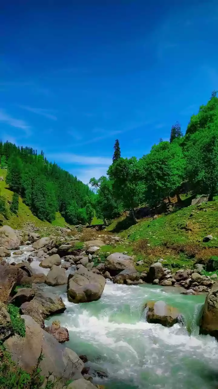 Teacher's body found in Himachal river.