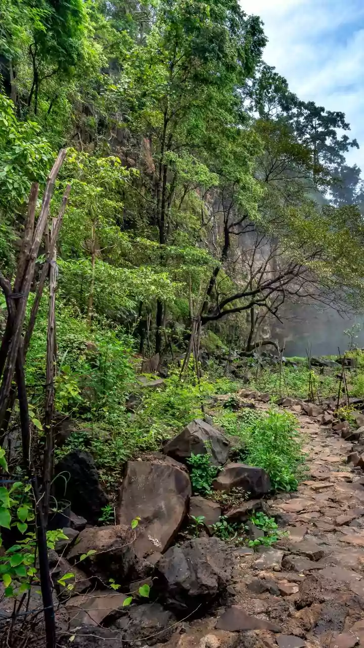 Encounter breaks out between Naxalites and cops in Chhattisgarh's Bijapur