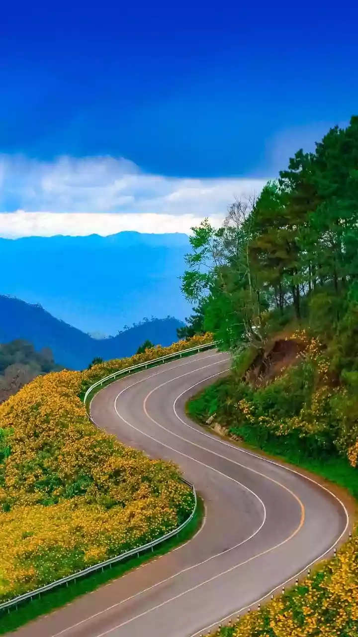 Why the Dirang-to-Mago Drive Rivals Better-Known Himalayan Routes