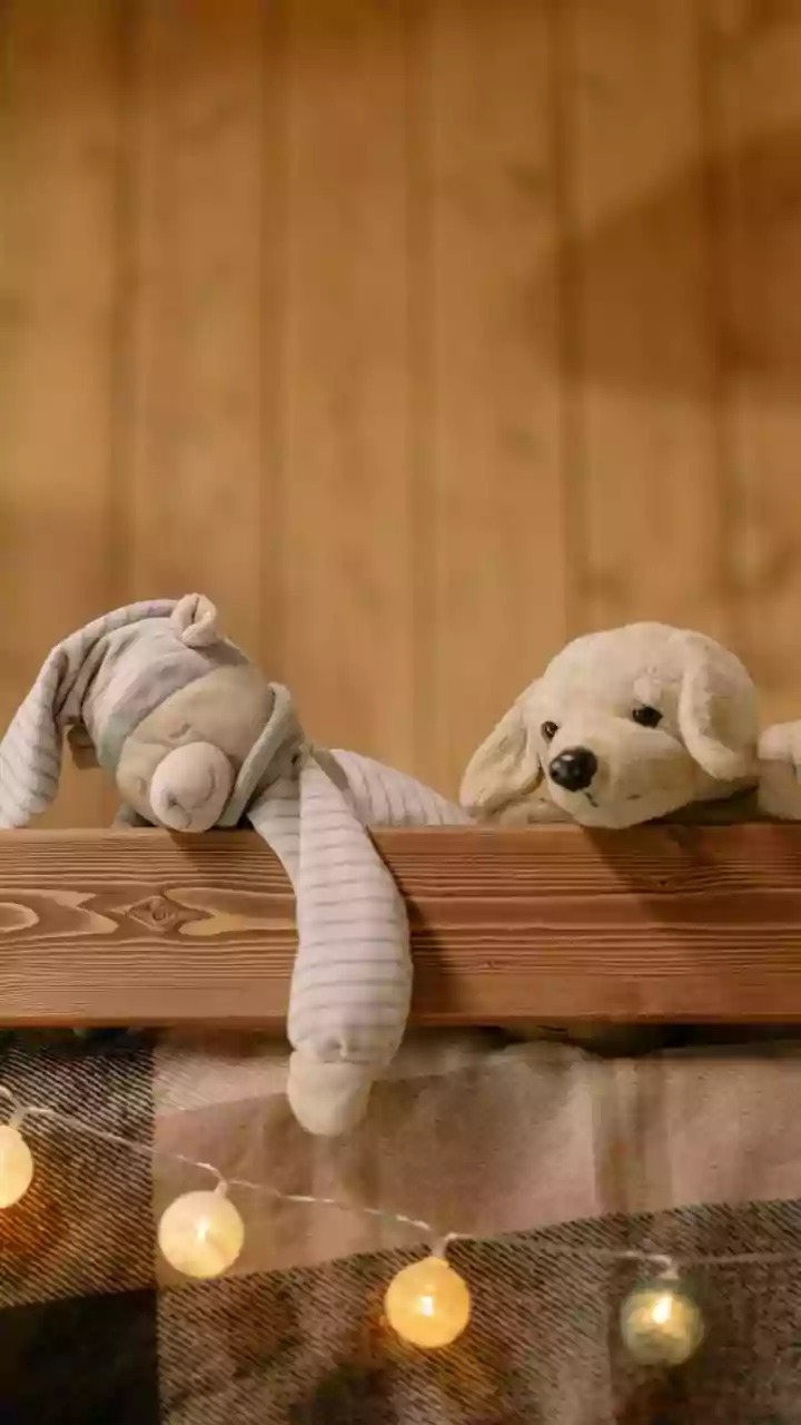 Teddy Day 2026: Share Warm Wishes, Sweet Messages & Adorable Quotes