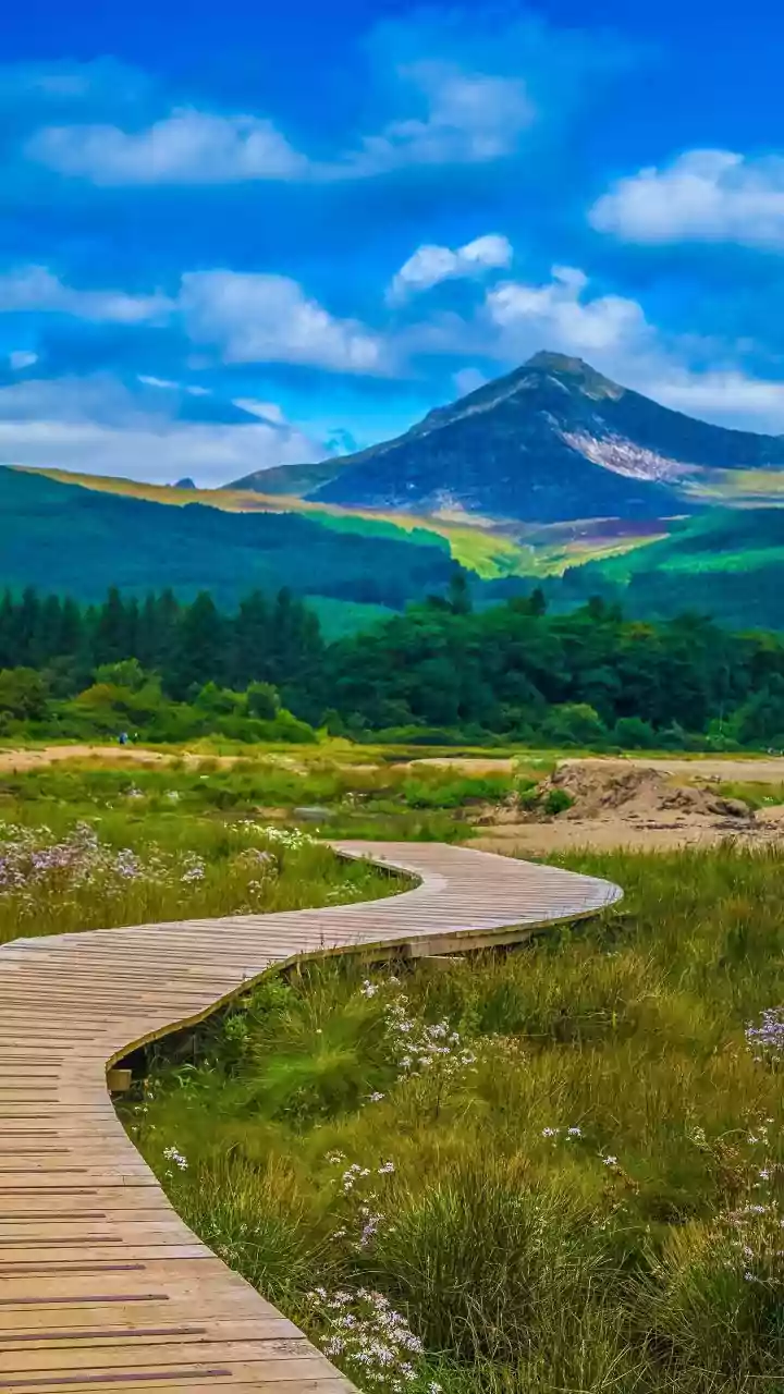 Ranger Guidance Can Help Visitors Move More Carefully through Nature