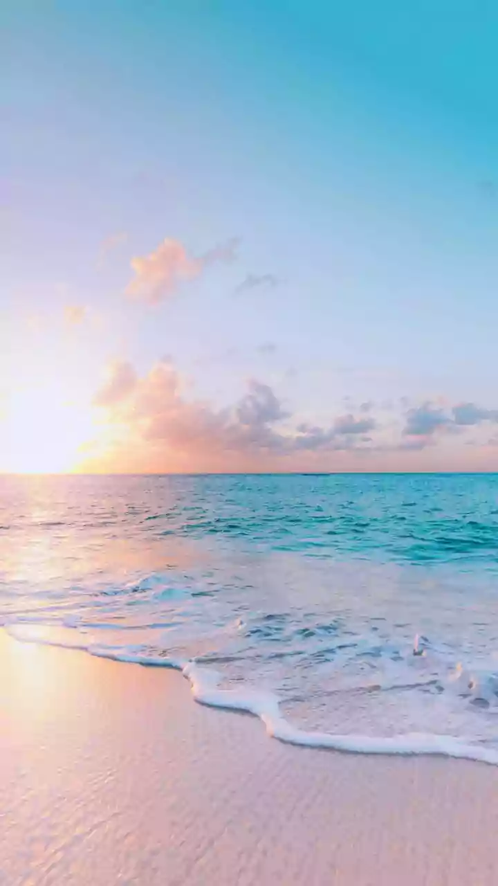 Cancer Horoscope May 8, 2026: Business Prudence & Embracing Gentle Pleasures