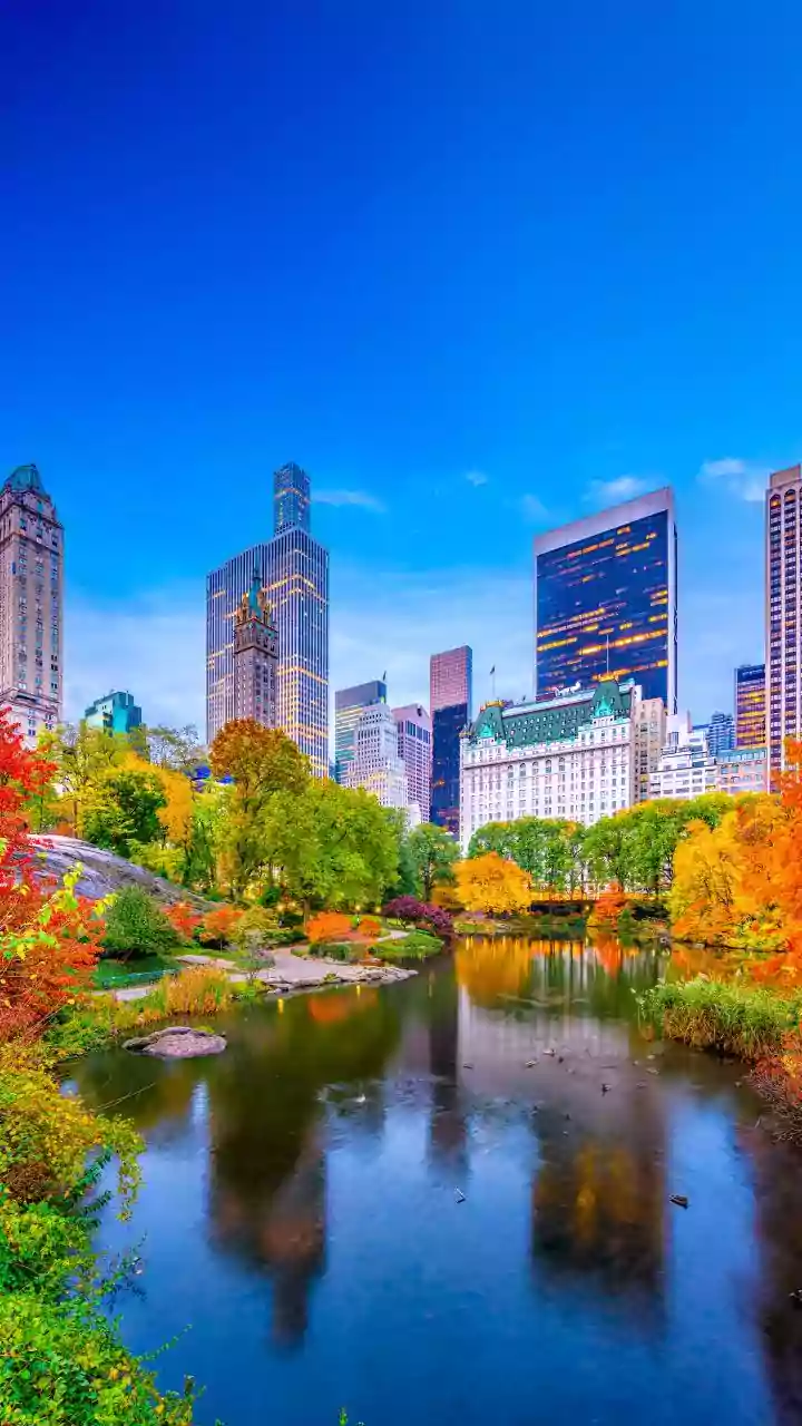 India showcases cultural and tourism destinations at Travel  and  Adventure Show 2026 in New York