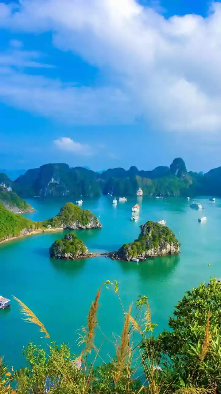Phu Quoc Tourism Crosses VND36 Trillion Between January and July
