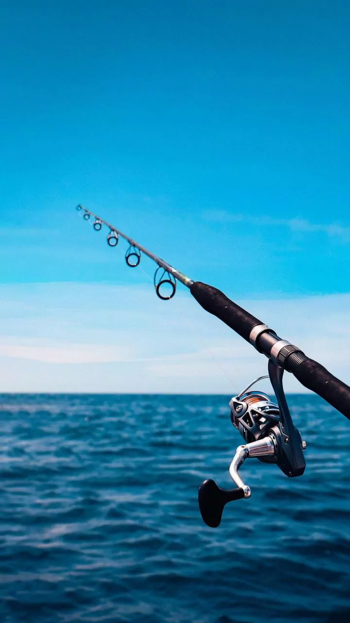 How to Plan a Game Fishing Adventure in the Andaman Islands