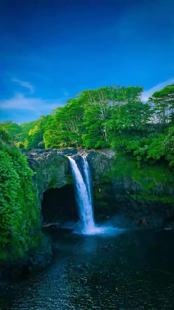 'Vacations Cuties': Prajakta Koli Enjoys Stunning Sakura Falls Near Mount Fuji In Japan With Husband Vrishank Khanal