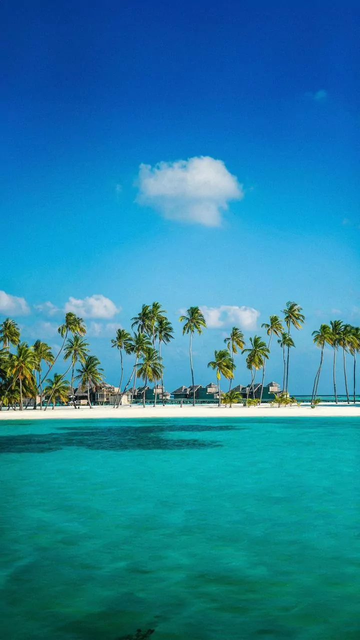 Caribbean Adventures: Discover Top Resorts, Travel Tips & Hidden Gems