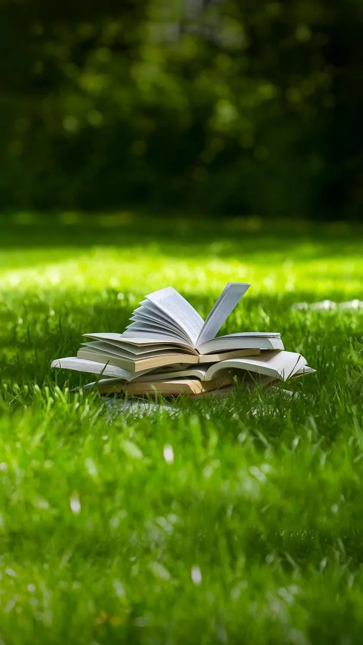 Quick Books Can Keep Reading Active During Crowded Months