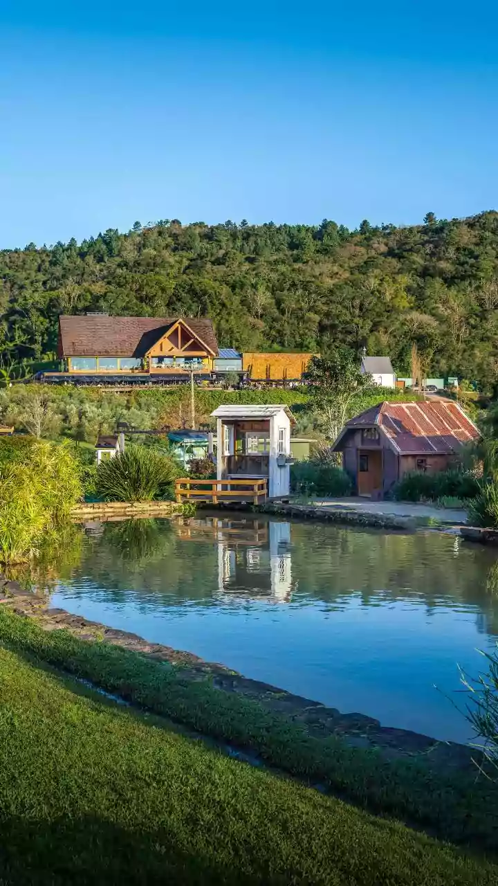Olivas de Gramado: como é a visita ao parque na Serra Gaúcha