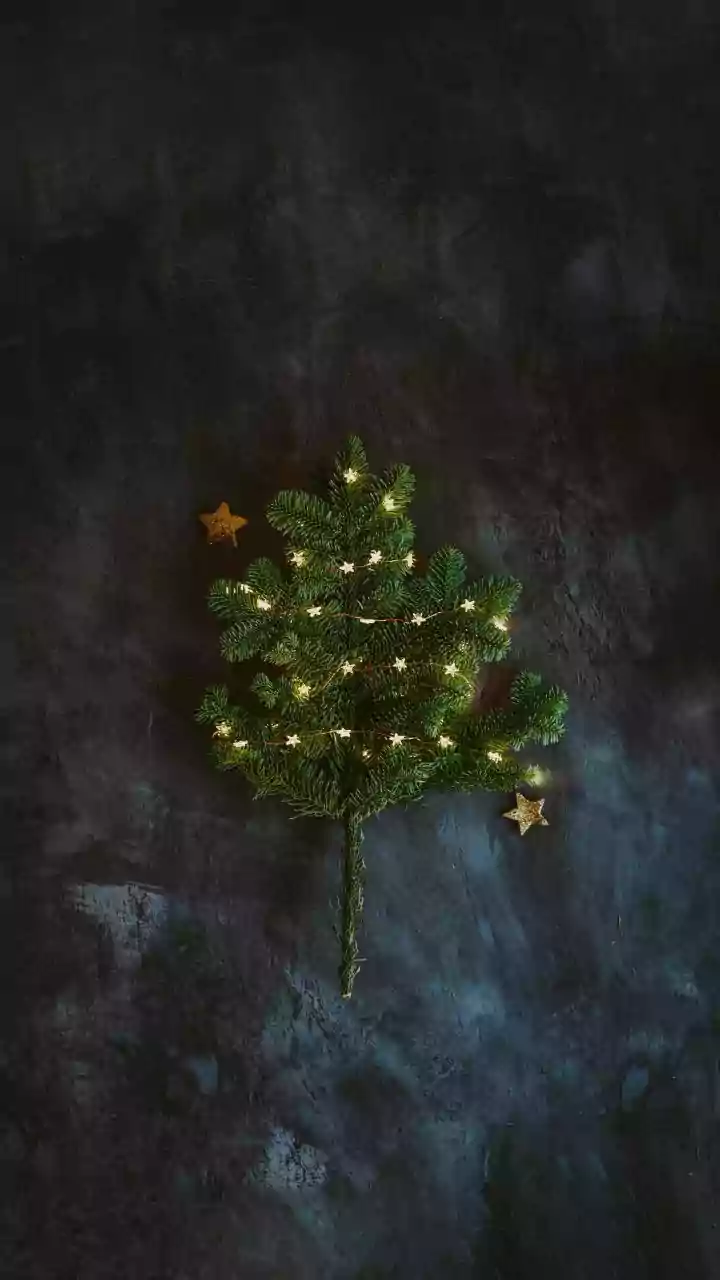 Beyond Religion And Ritual: The Deeper Meaning Of Christmas