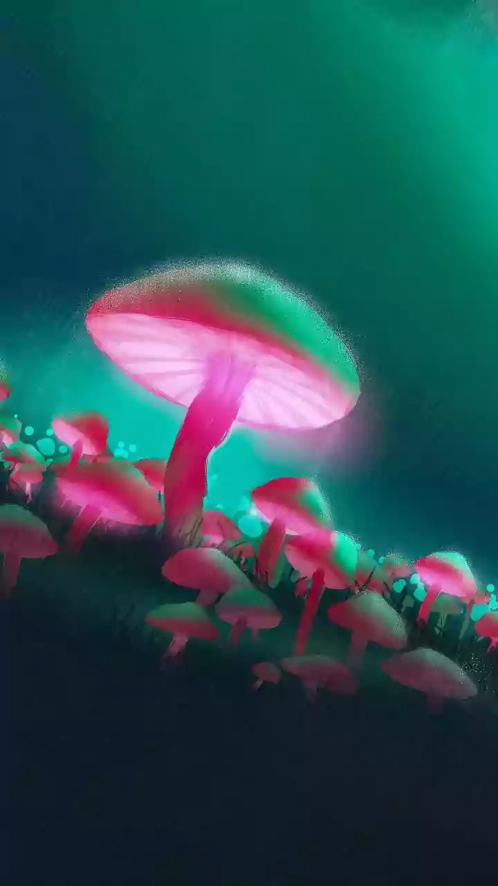 Unlocking Antifungal Therapies: Metabolism Emerges as Fungi's Hidden Weakness