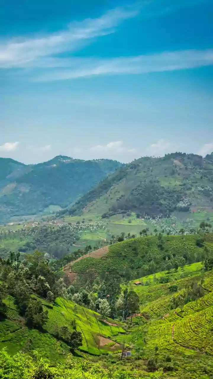 Work Remotely From Lush Coorg Coffee Estates Offering Fast Wi-Fi And Scenic Views