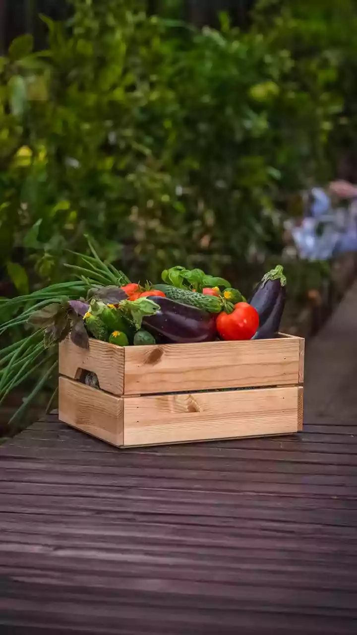 November Balcony Gardening: Essential Cool-Season Vegetables And Herbs To Plant In North India