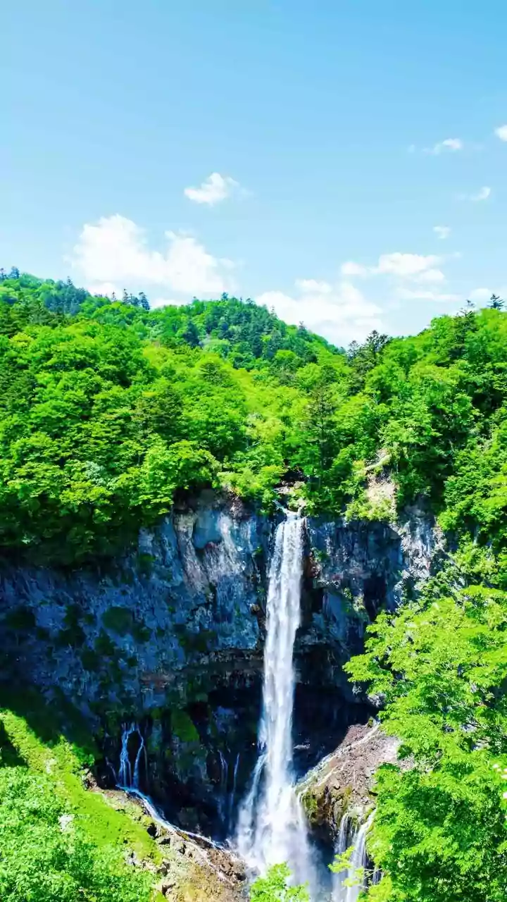 City Travellers Look Beyond Beaches Towards Maharashtra’s Monsoon Waterfalls