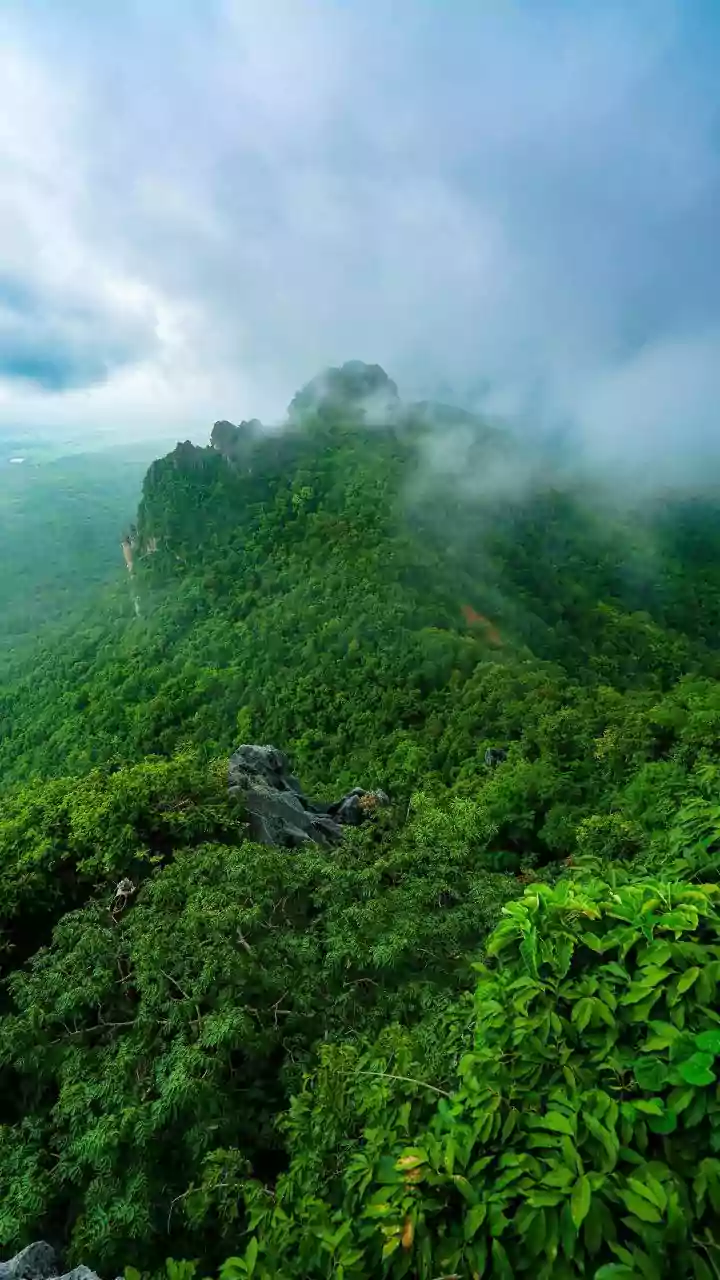 How Cherrapunji Rainy Season Workations Help Remote Workers Stay Inspired Daily