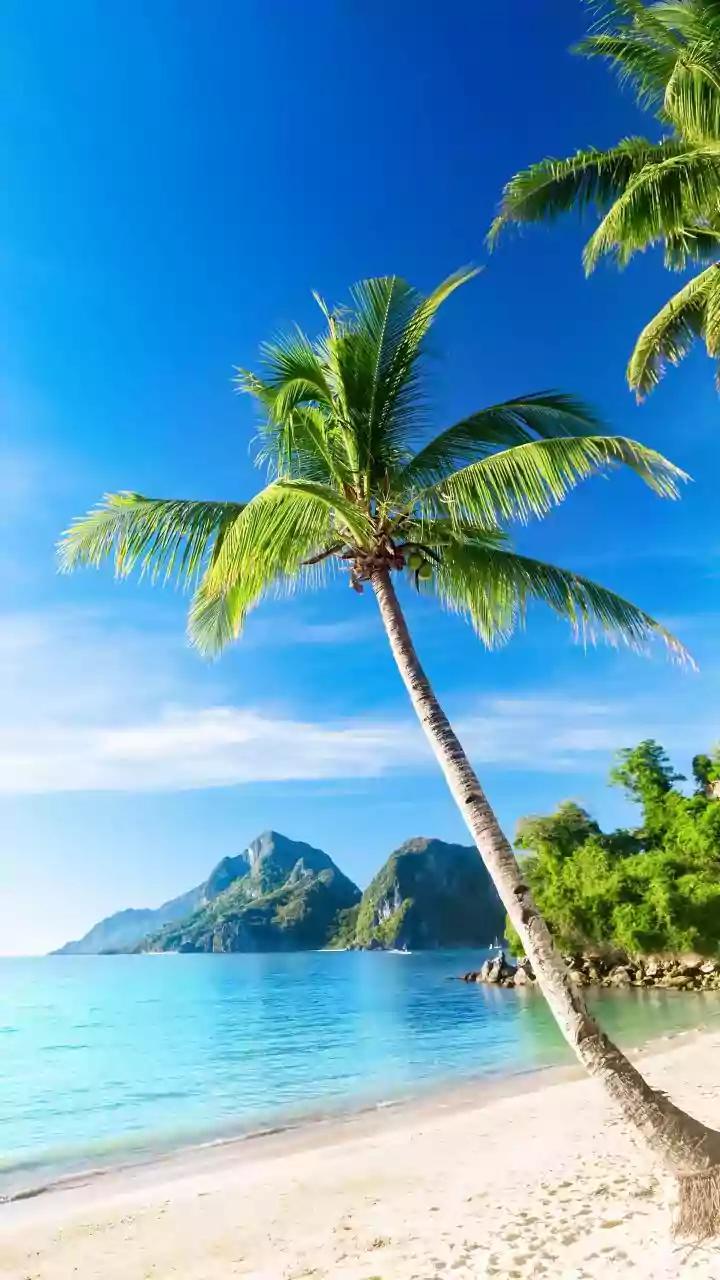 Why Coastal Varkala Workations Offer The Perfect Balance Of Affordable Living And Great Wi-Fi
