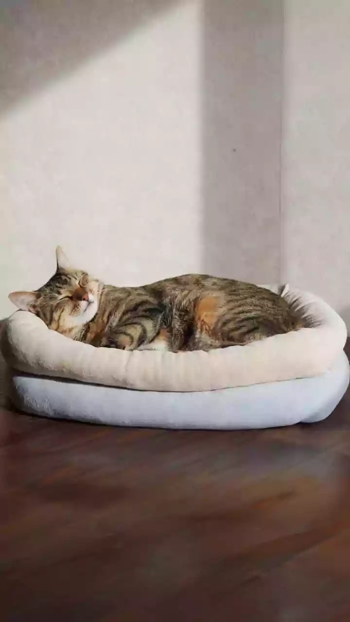 Coastal nights getting warmer. Is that why sleep feels lighter?