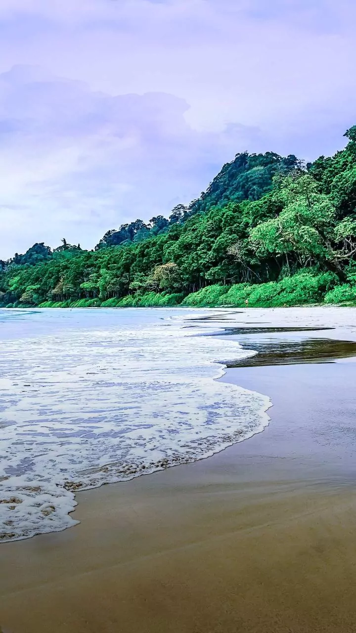 How Palolem Co Working Spaces Attract Monsoon Digital Nomads With Passes