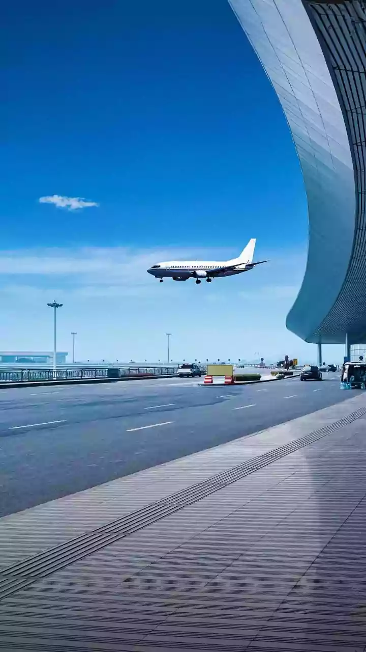 IndiGo crisis: Why situation precipitated, Delhi HC asks Centre; flags loss to economy