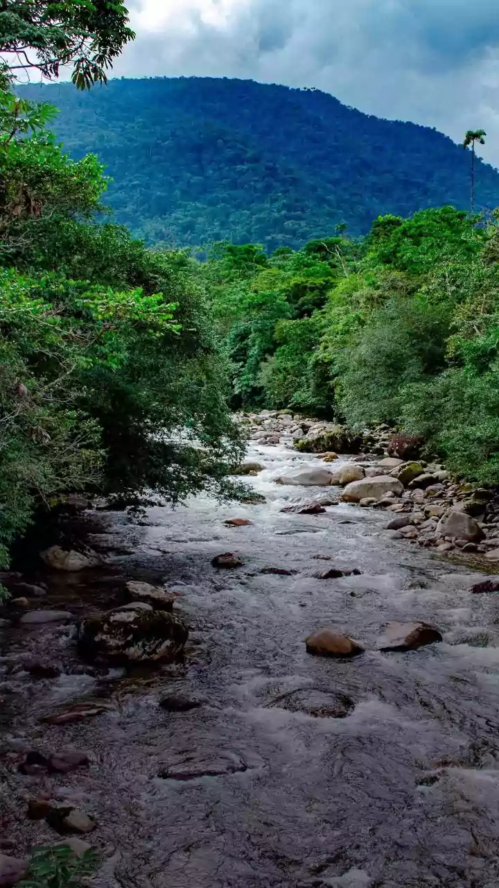 7 Baby Girl Names: Inspired by Rivers & Waters!