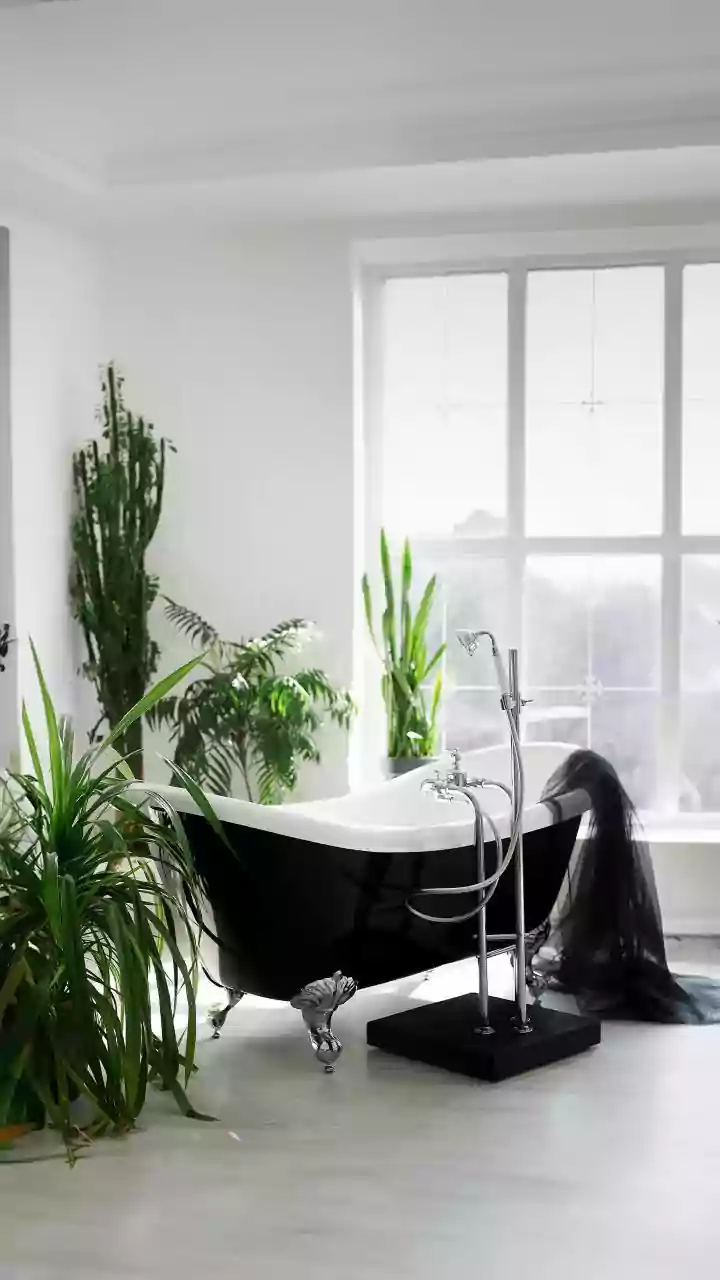 7 Bathroom-Friendly Plants: Fresh Air & Fragrance!