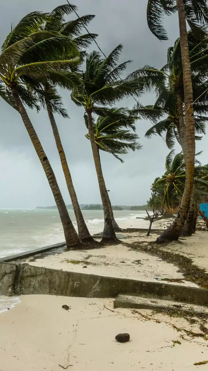 Ditwah: World Bank announces USD 120 million in emergency support for Sri Lanka