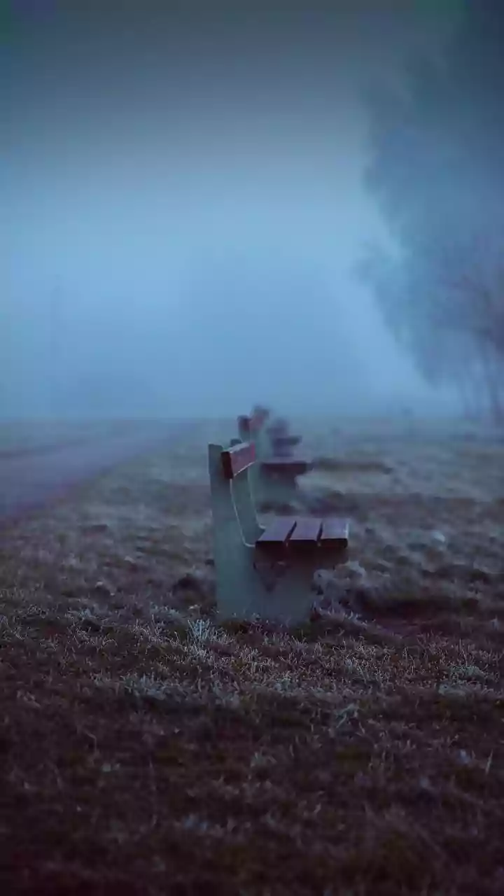 IMD’s Chandigarh update — cold air and fog could slow city movement.