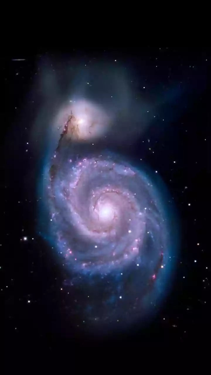 Rare star system discovered in Magellanic Bridge