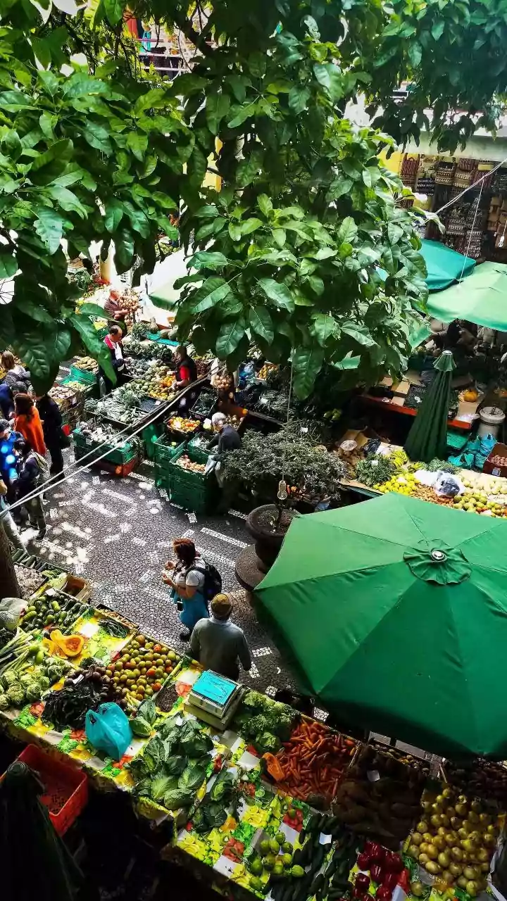 Central Asian Travel Tips Exploring Vibrant Markets In Bishkek On A Budget