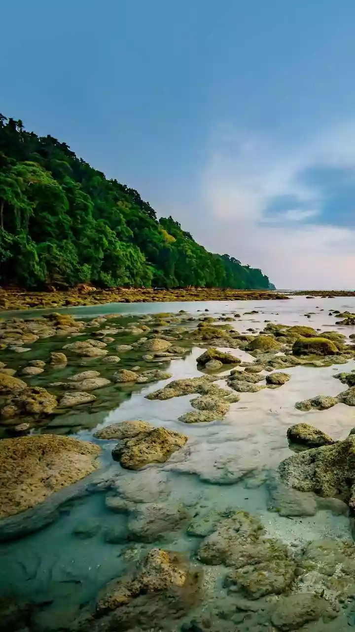 Aquarius Daily Forecast: April 23, 2026 - Practical Love, Strategic Decisions & Balanced Living