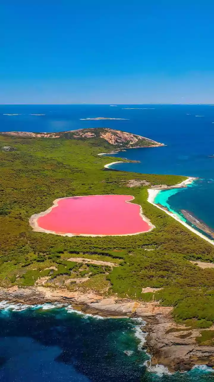 Lake Hillier: Australia's Astonishing Pink Lake and the Science Behind Its Milkshake Hue