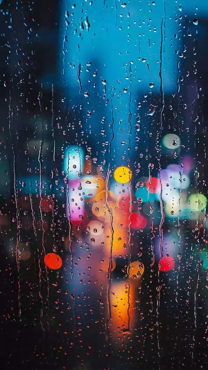 Rainfall Plays A Bigger Role Than You Think