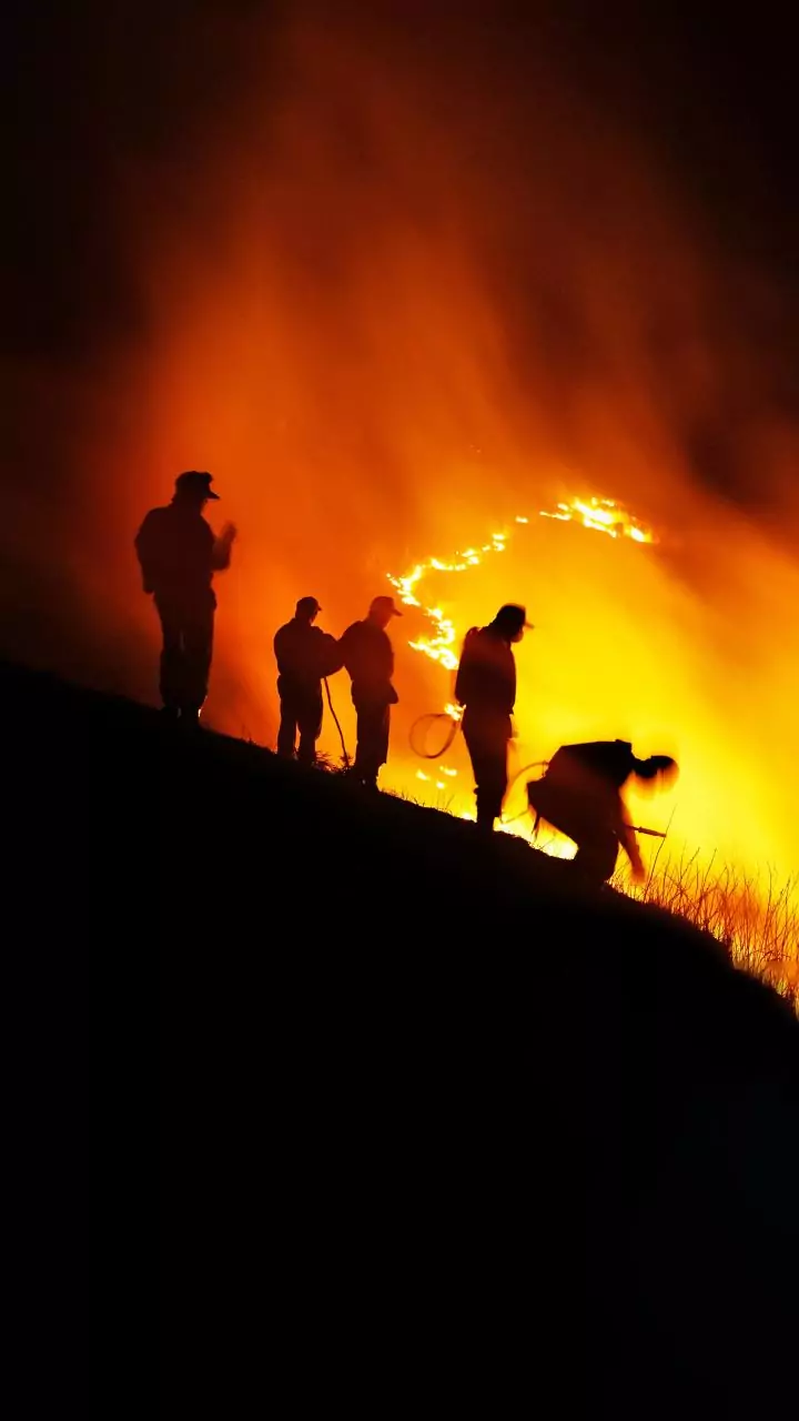 BSF officer killed in fire at border outpost in West Bengal