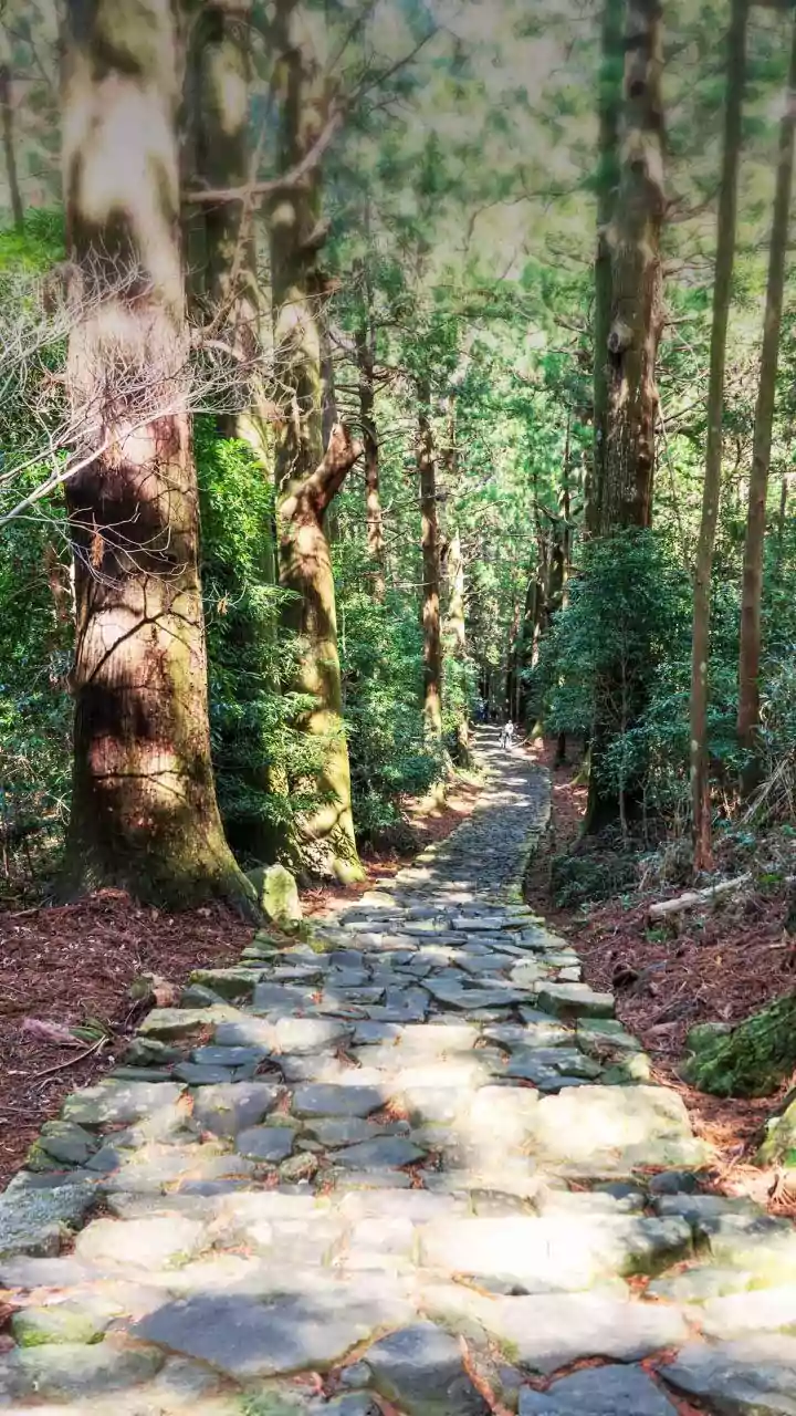 Greece's Ancient Walking Trails In Context: Historical Footpaths Beyond Busy City Centres
