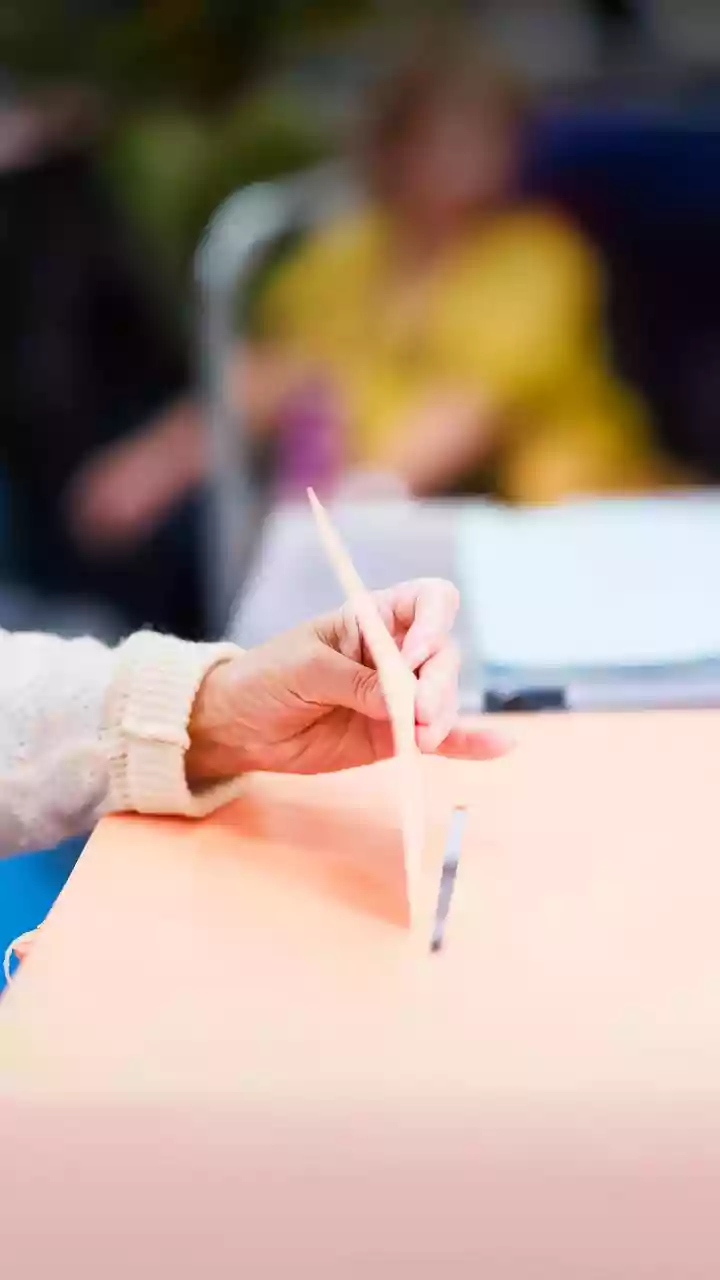 Local body polls: BJP leading in several parts of Maharashtra, claims party leader