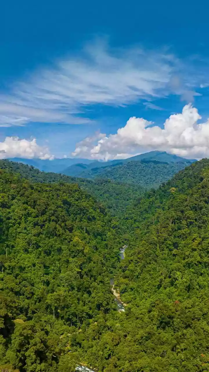 Explore the Wild: Unforgettable Nature Adventures & Eco-Conscious Travel