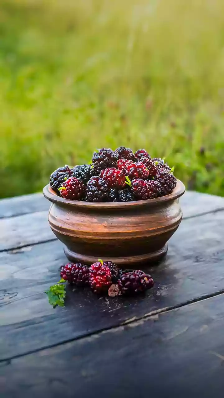 5 surprising health benefits of mulberries