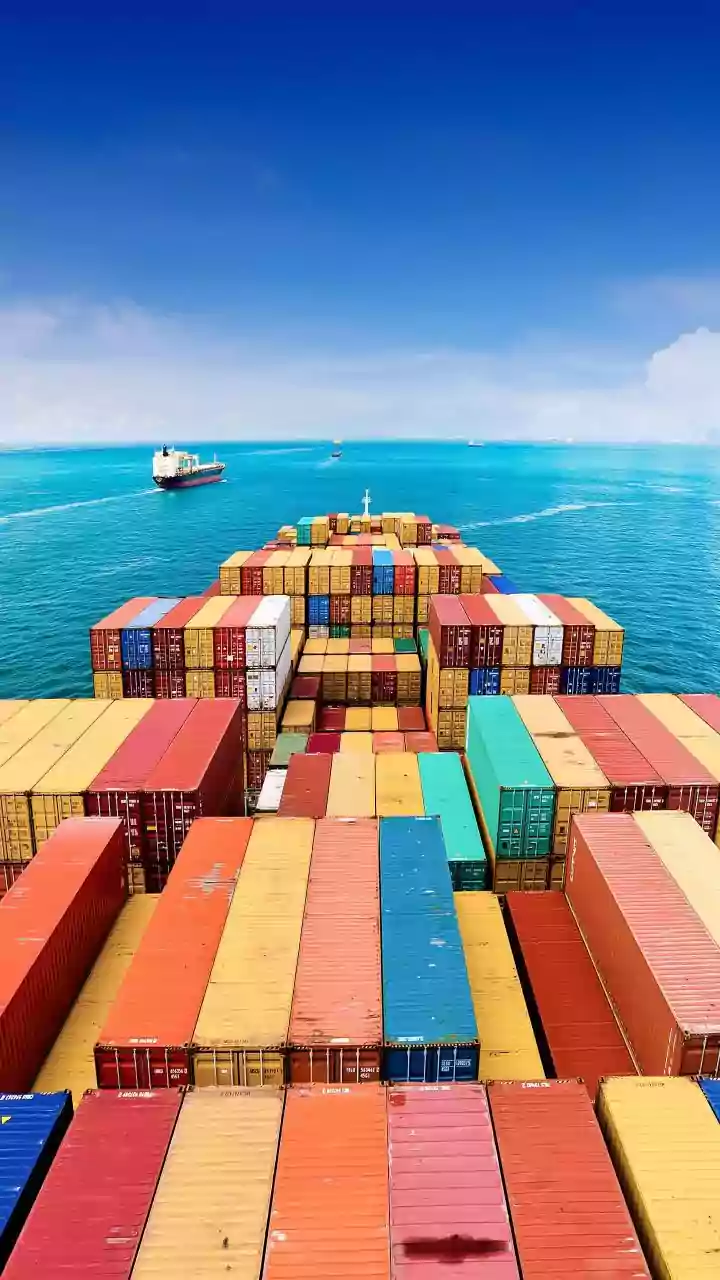 India's GDP growth could touch 7% in FY26: Chief economist