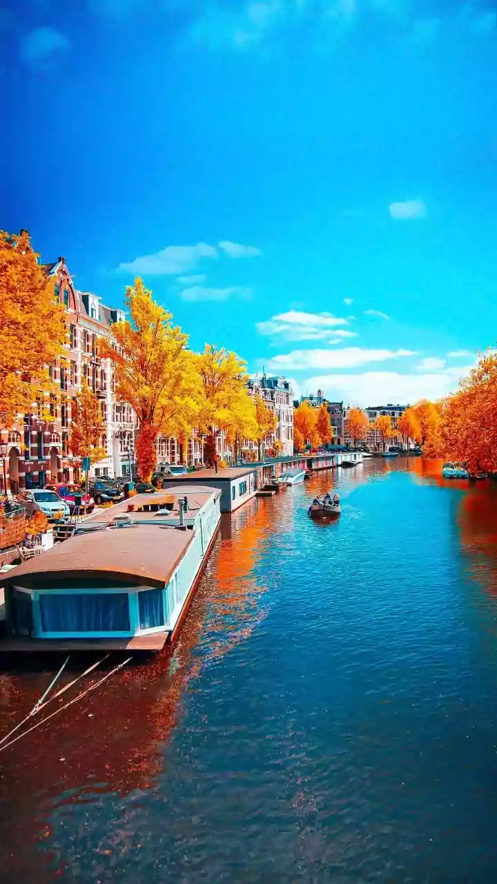 Why the festival is becoming part of Indian travellers’ autumn Europe plans